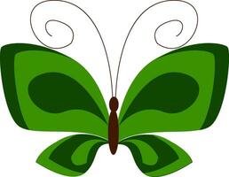 A green butterfly vector or color illustration