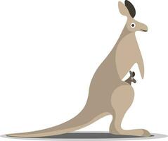 Kangaroo with baby vector or color illustration