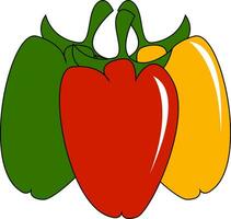 Three colorful pepper vector or color illustration