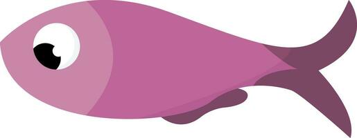 A purple fish vector or color illustration