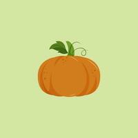 A fresh pumpkin vector or color illustration