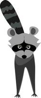 A little raccoon vector or color illustration