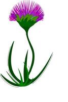 A purple flower vector or color illustration