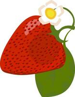 Clipart of a charming red strawberry and a jasmine flower with a leaf on top of it, vector or color illustration.