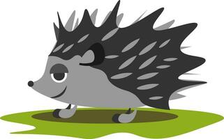 A hedgehog, vector or color illustration.