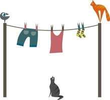 Bird, cats and laundry, vector or color illustration.