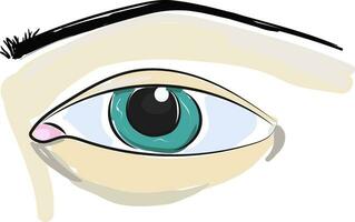 Eye, vector or color illustration.