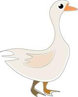 White goose, vector or color illustration.