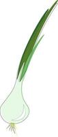 Green onion, vector or color illustration.