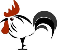 Rooster, vector or color illustration.