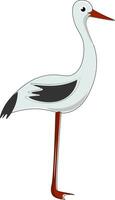 Painting of the stork bird isolated on white background viewed from the side, vector or color illustration.