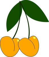 Clipart of two hanging yellow cherries, vector or color illustration.