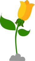 A beautiful yellow flower grown above the soil, vector or color illustration.