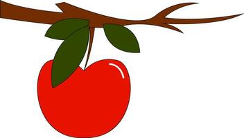 Clipart of an apple fruit hanging from the branch of a tree vector or color illustration