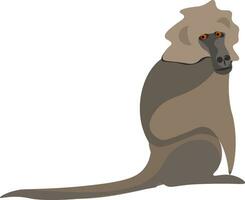 Clipart of a baboon vector or color illustration