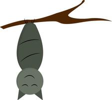 Cartoon bat hanging upside down in the branch of a tree vector or color illustration