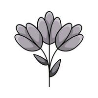 flower  nature illustration vector