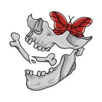 bone, skull with butterfly illustration vector