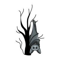 bat  halloween illustration vector