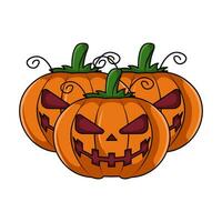 pumpkin halloween  illustration vector