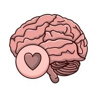 ilustración del cerebro humano vector