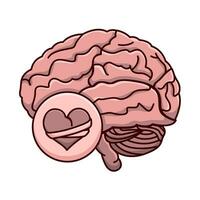 ilustración del cerebro humano vector