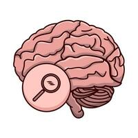 human brain illustration vector