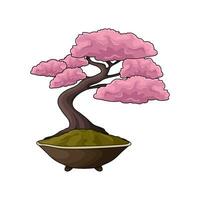 bonsai plant in pot  illustration vector