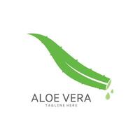 aloe vera logo design vector illustration template