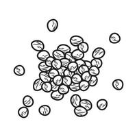 Coriander seed illustration in black and white. vector