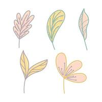 Botanical cute hand drawn illustration vector on white background