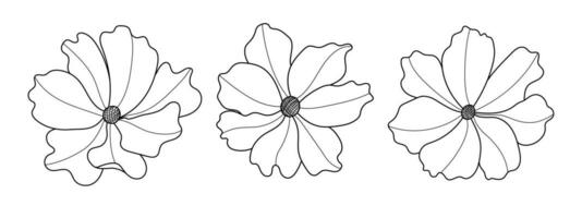 Line art botanical illustration vector on white background