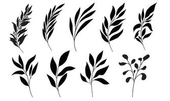línea Arte botánico ilustración vector en blanco antecedentes