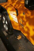 orange car in autumn with fallen leaves photo