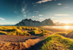 Sunrise shining over Vestrahorn mountain with clump of grass on black sand beach in summer at Iceland photo