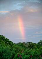 arco iris en el cielo a noche foto