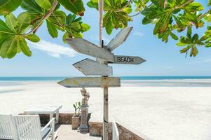 Arrows wooden signboard on the beach with green plant photo
