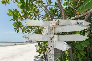 Arrows wooden signboard on the beach with green plant photo