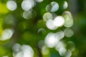 Abstract background bokeh circles of light defocused background photo