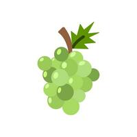 grapes icon design vector template