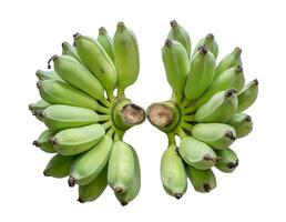 Banana unripe two bunch photo