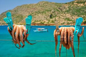 Fresh octopus drying on rope on sun with turquoise Aegean sea on background, Crete island, Greece photo