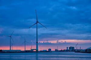 Wind turbines in Antwerp port in the evening photo