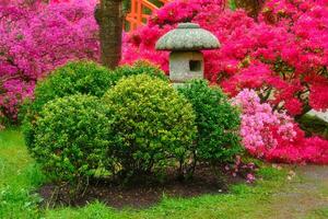 Japanese garden, Park Clingendael, The Hague, Netherlands photo