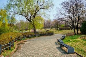 youido parque en seúl, Corea foto