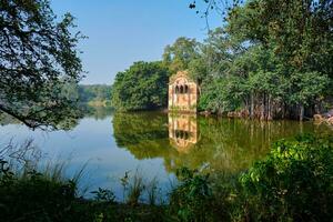 padma talao lago con restos de fuerte. tropical verde y arboles de reservar. ranthambore nacional parque, rajastán, India foto