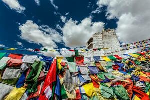 Ruins of Tsemo Victory Fort on the cliff of Namgyal hill and Lungta colorful Buddhist prayer flags photo