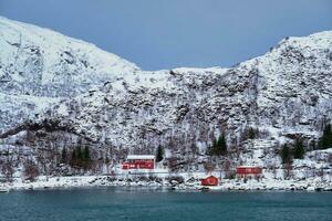 Red rorbu houses in Norway in winter photo