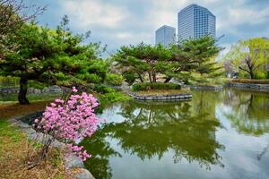 Yeouido Park in Seoul, Korea photo