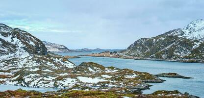 Panorama of norwegian fjord, Lofoten islands, Norway photo
